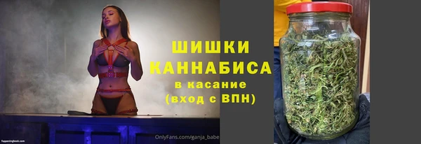 шишки Верхний Тагил