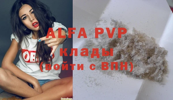 шишки Верхний Тагил